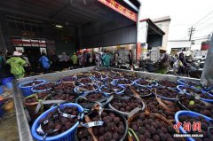 福建漳州龙海区回应“问题杨梅”事务 23名干部