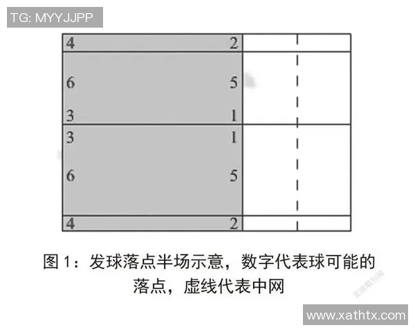 南京羽毛球队速度表现分析与提升策略探讨 南京羽毛球队速度表现分析与提升策略探讨