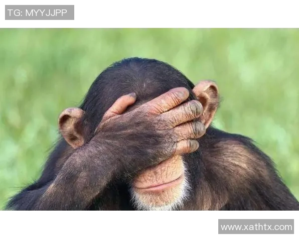 五指与六指的奇妙对比探讨人类手指数量的遗传与进化之谜 五指与六指的奇妙对比探讨人类手指数量的遗传与进化之谜